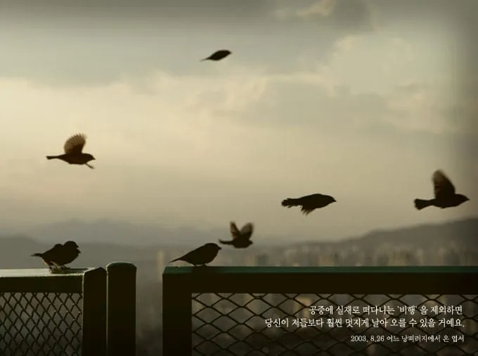 공중에 실제로 떠다니는