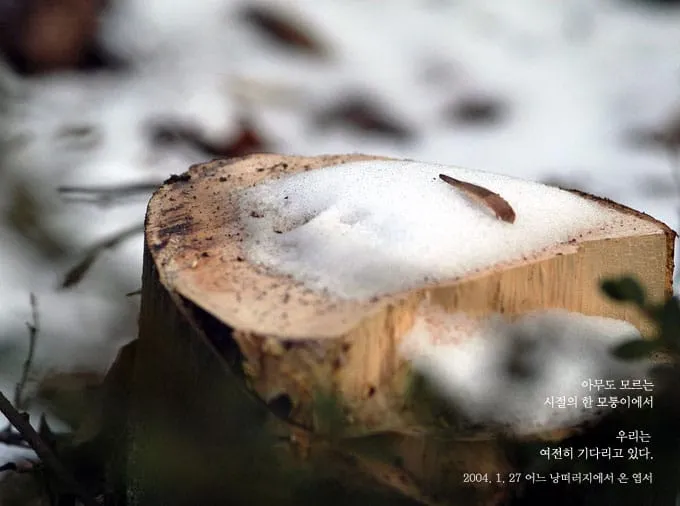 아무도 모르는 시절의 한 모퉁이에서