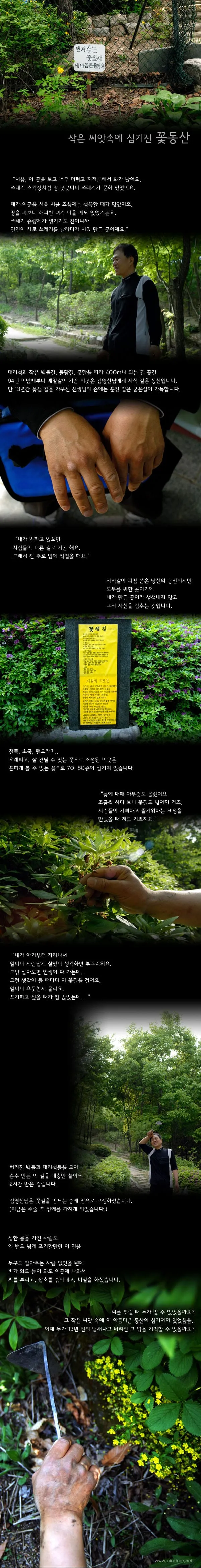 작은 씨앗속에 심겨진 꽃동산