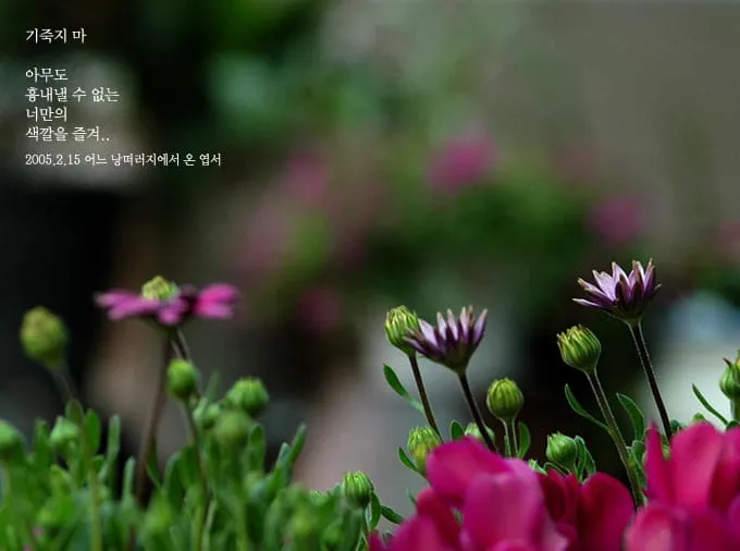 기죽지 마