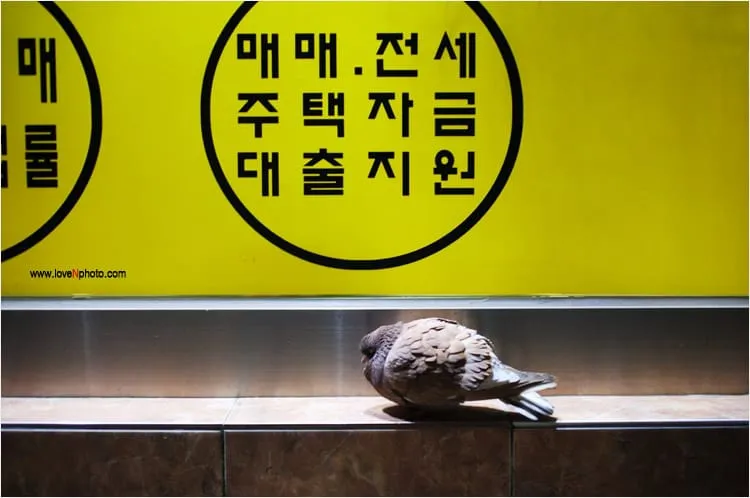 친구