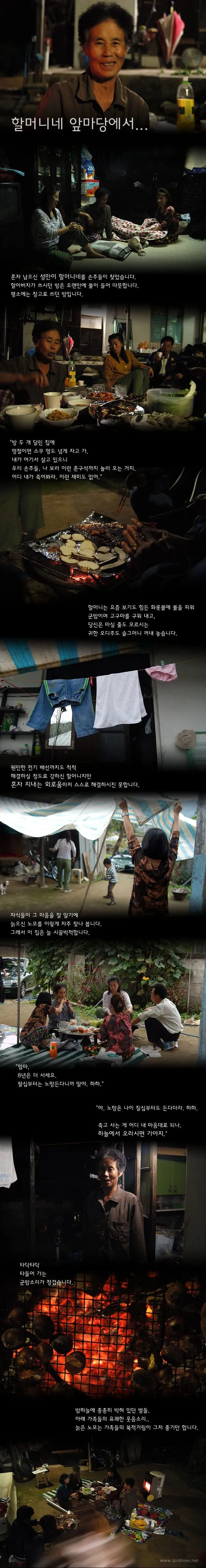 할머니네 앞마당에서..