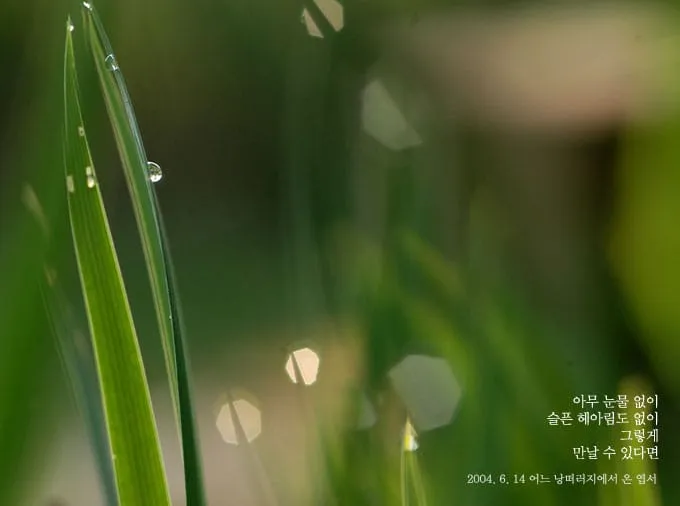 아무 눈물 없이