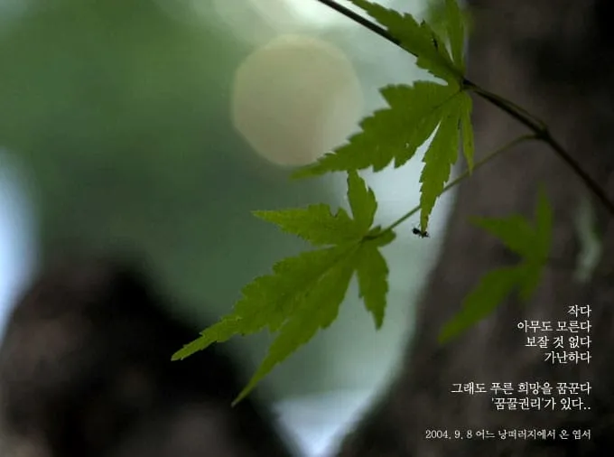 작다