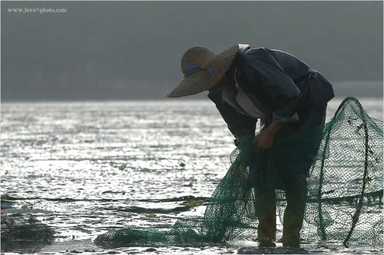 이렇게 찍은 사진.