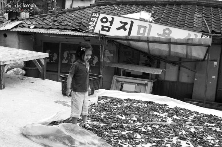 한가로운 풍경속에..
