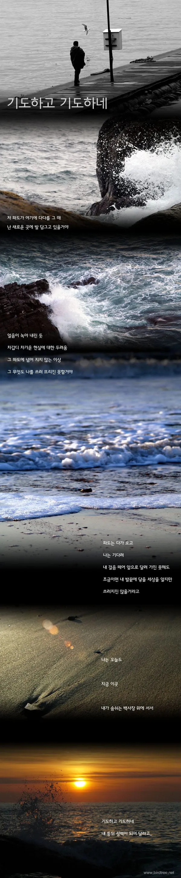 기도하고 기도하네