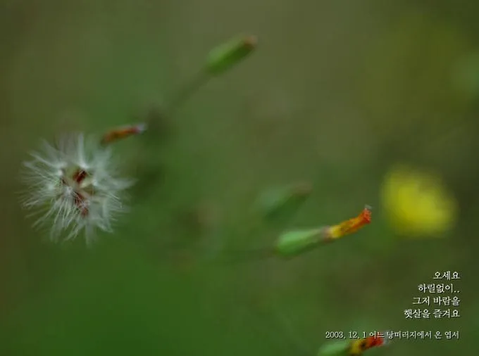 오세요. 하릴없이...