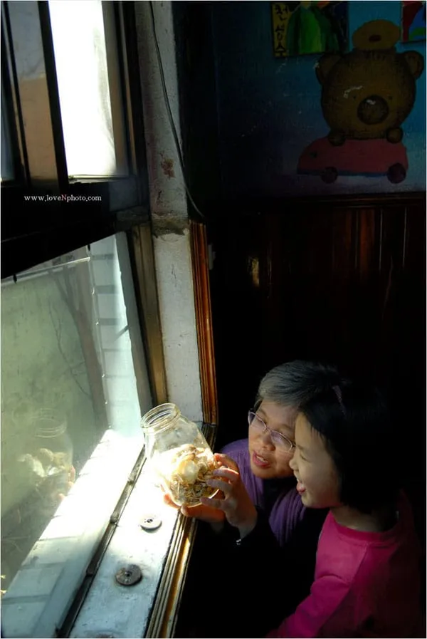 보물