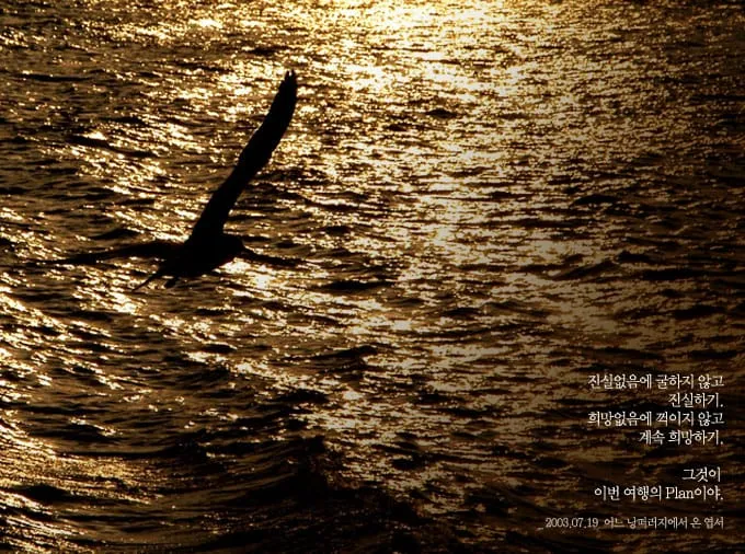 진실없음에 굴하지 않고 진실하기