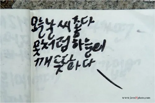 오늘날씨좋다