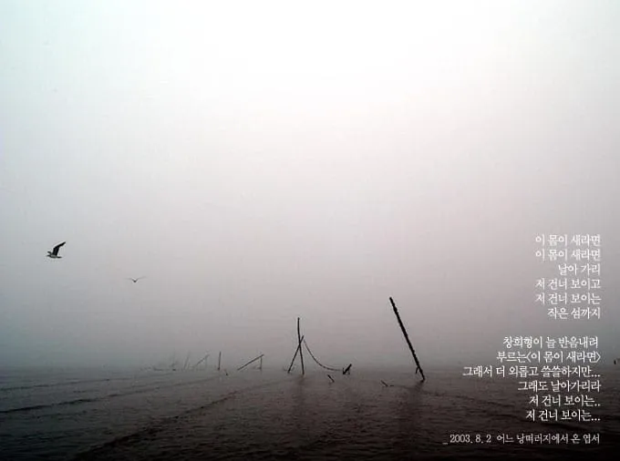 이 몸이 새라면