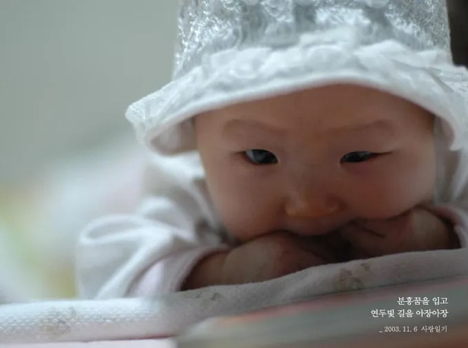 분홍 꿈을 입고