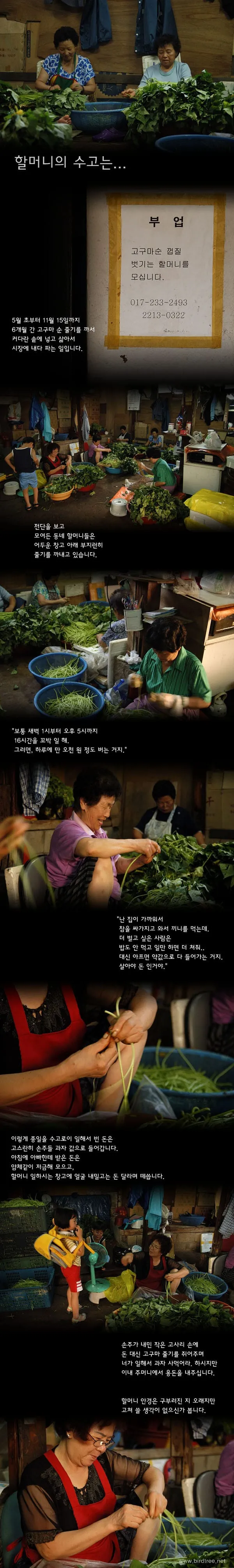 할머니의 수고는..