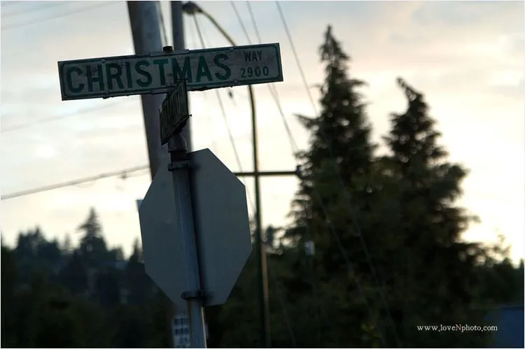 Merry Christmas