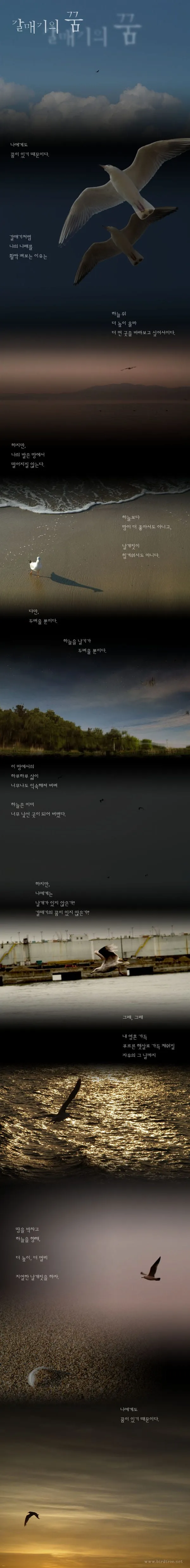 갈매기의 꿈