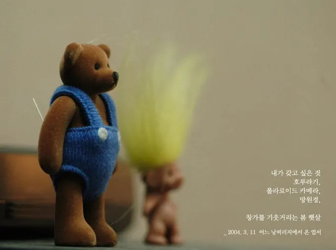 내가 갖고 싶은 것