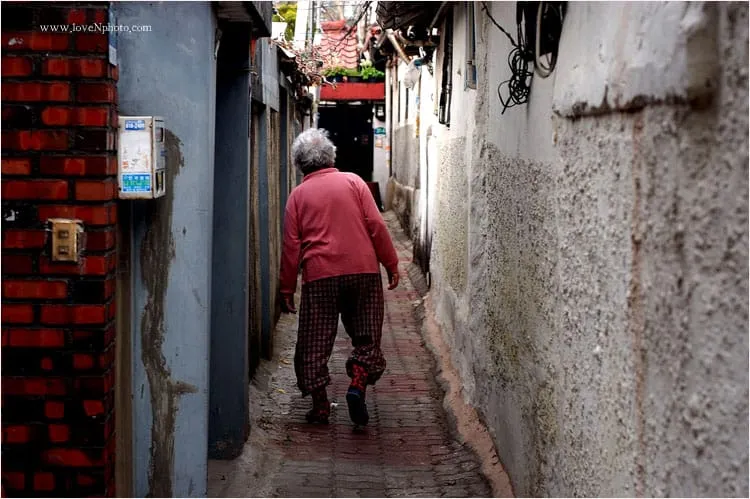 뒷 모습