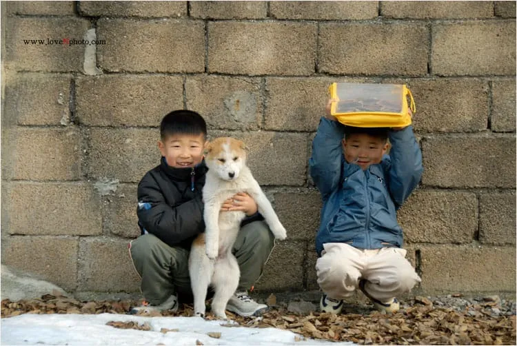딱지