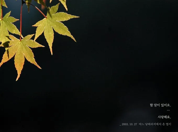 할 말이 있어요