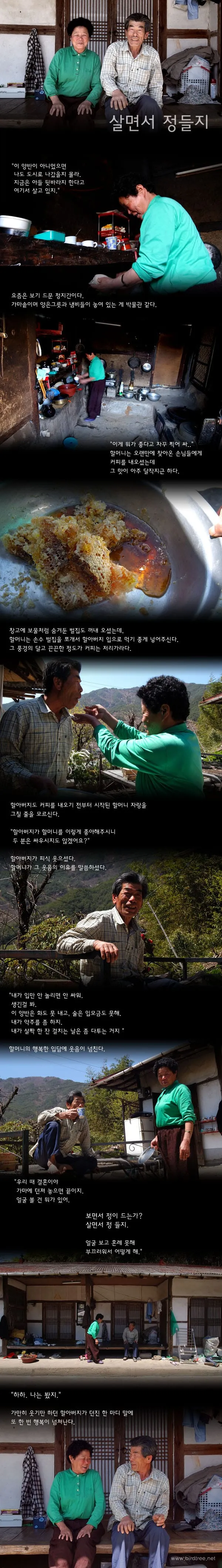 살면서 정들지