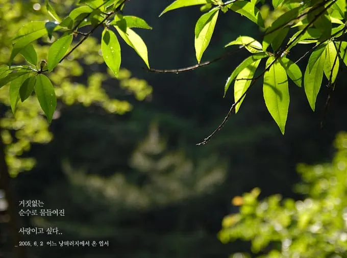 거짓없는 순수로..