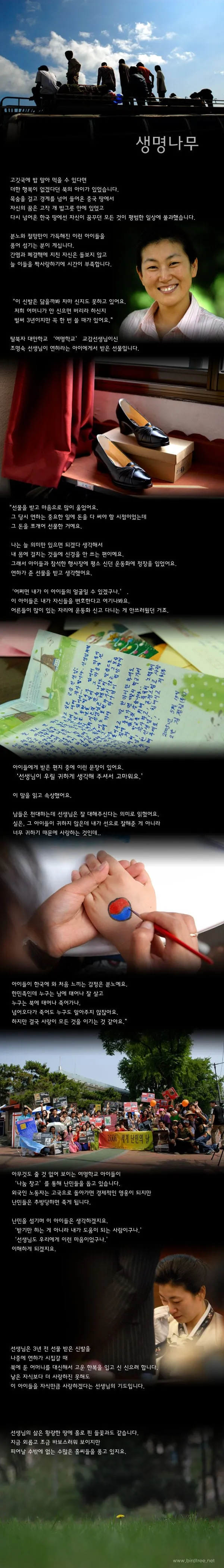 생명나무