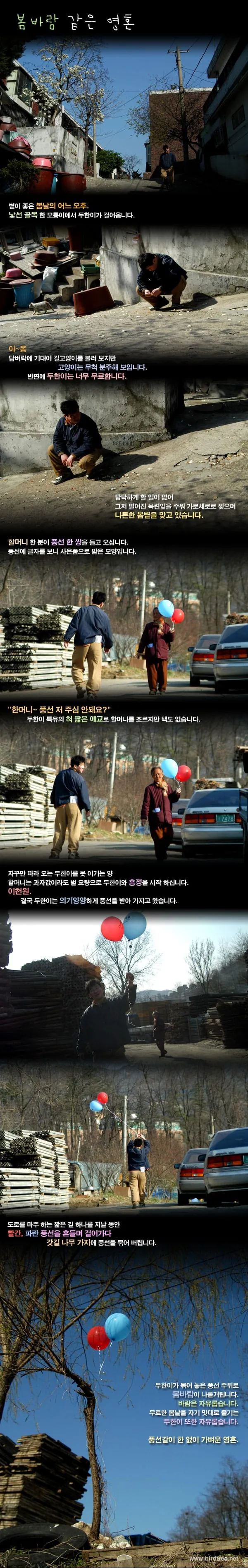 봄바람 같은 영혼