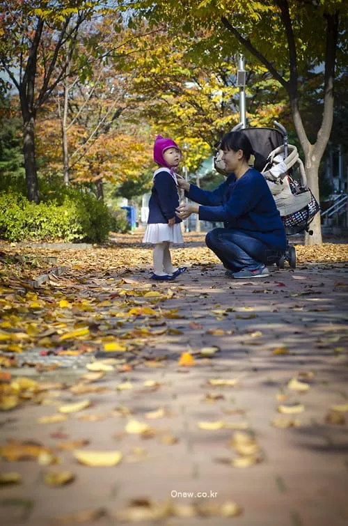 온유의 가을