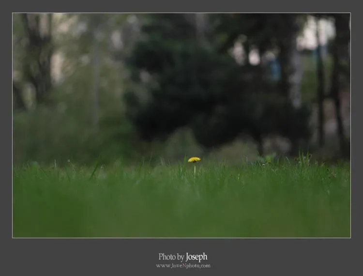 서 내리라