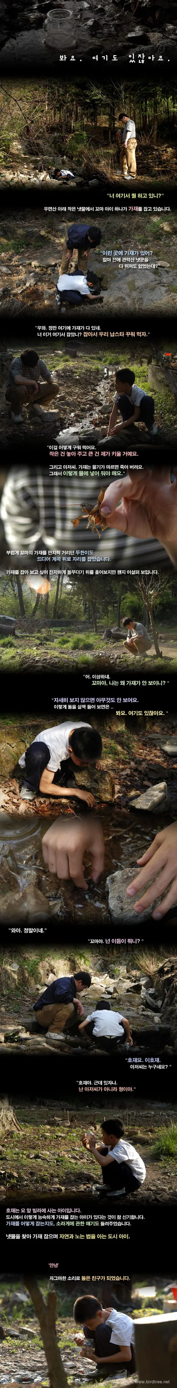 봐요. 여기도 있잖아요.