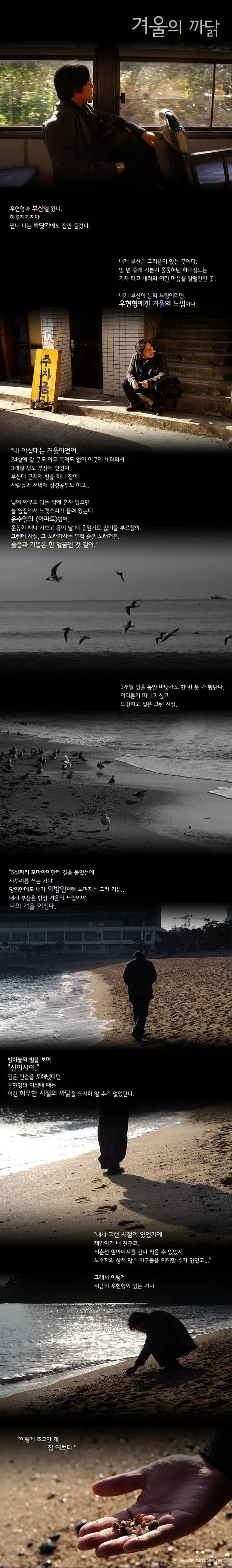 겨울의 까닭