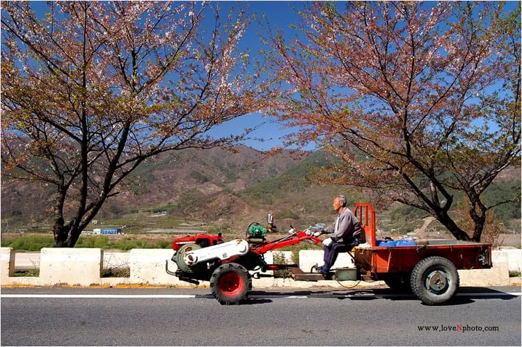 초대