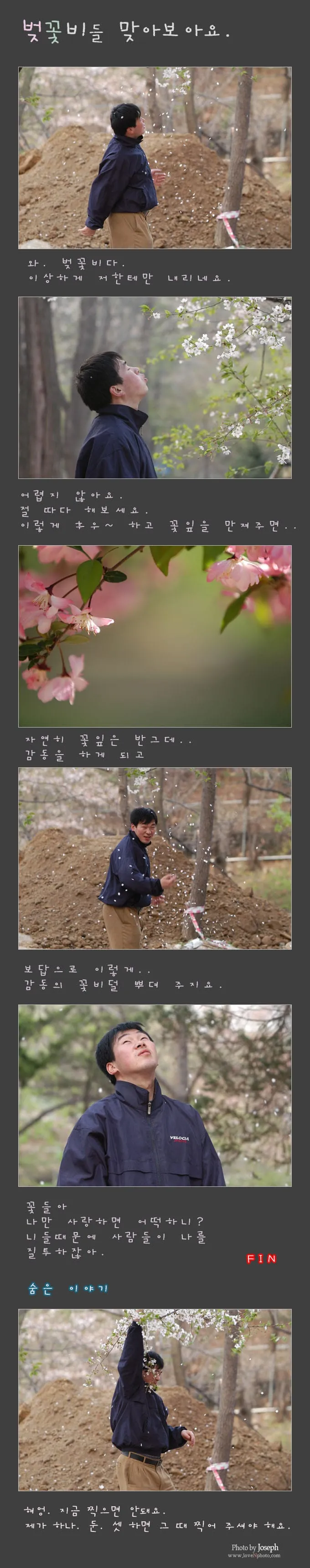 벚꽃비를 맞아보아요..