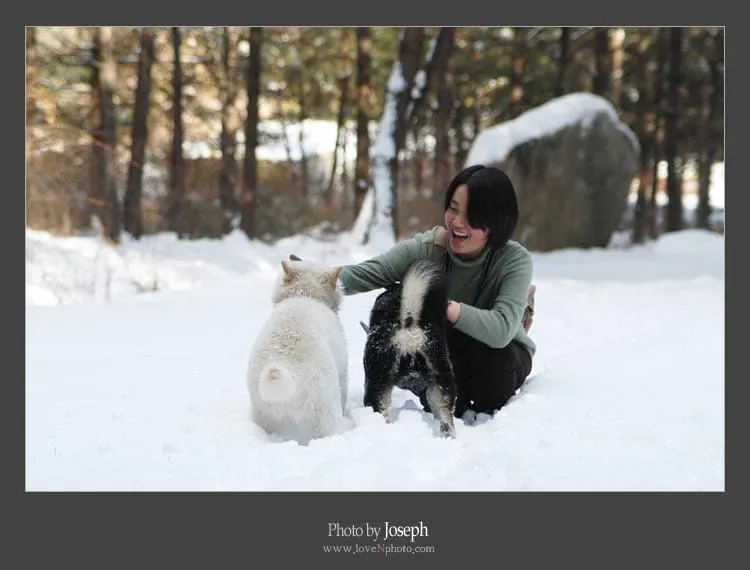 가야산에서.. -유리편-