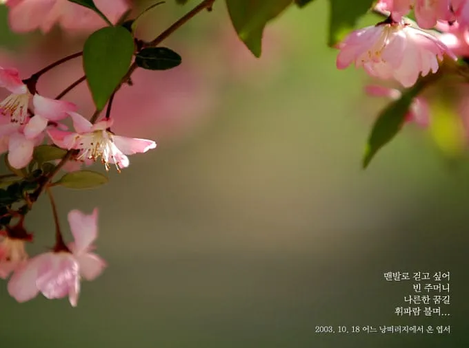 맨발로 걷고 싶어