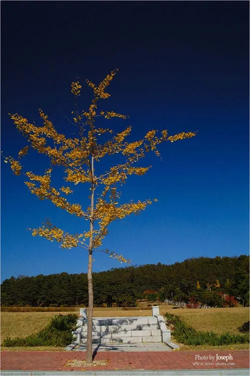 연변 갑니다.