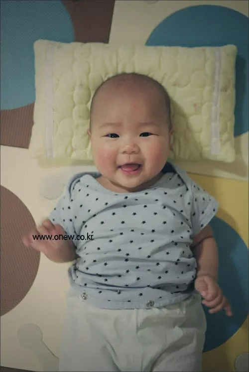 밀린 사진들