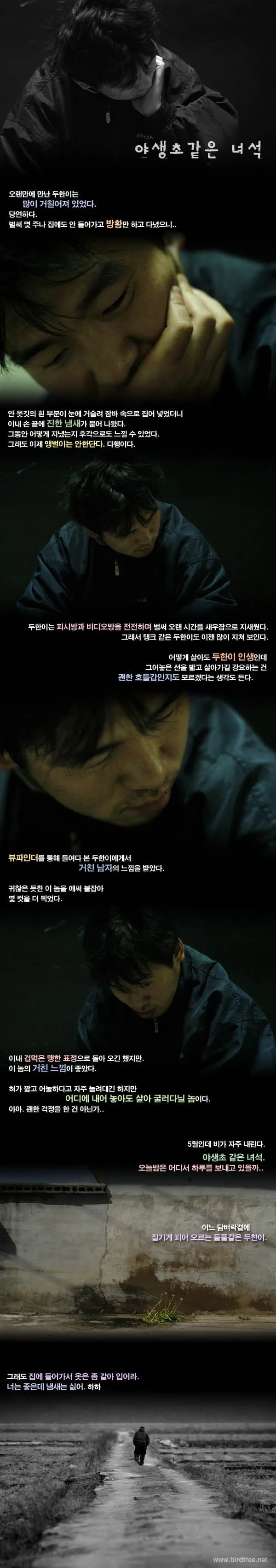 야생초 같은 녀석