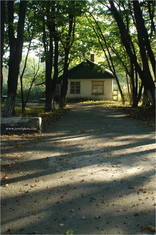 작은 행복