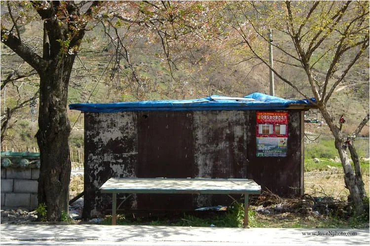 규모 있는 삶