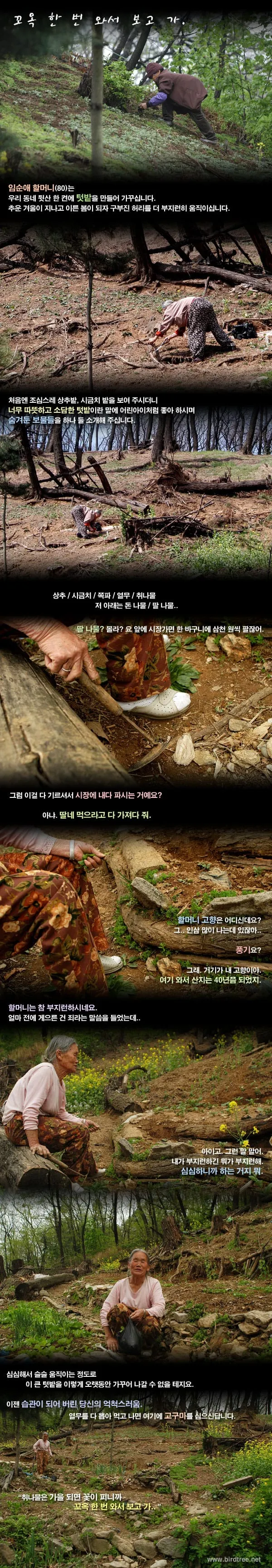 꼬옥 한번 와서 보고 가.