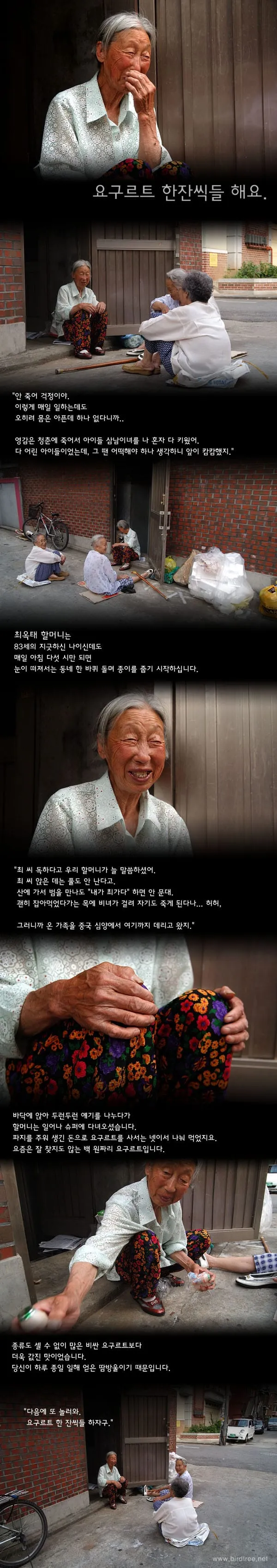 요구르트 한잔씩들 해요.