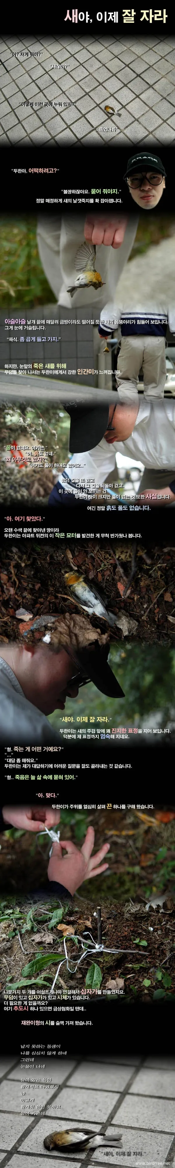 새야, 이제 잘 자라.
