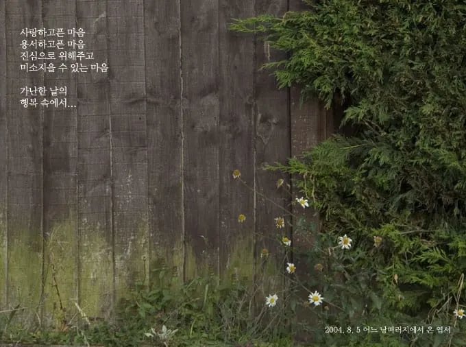 사랑하고픈 마음