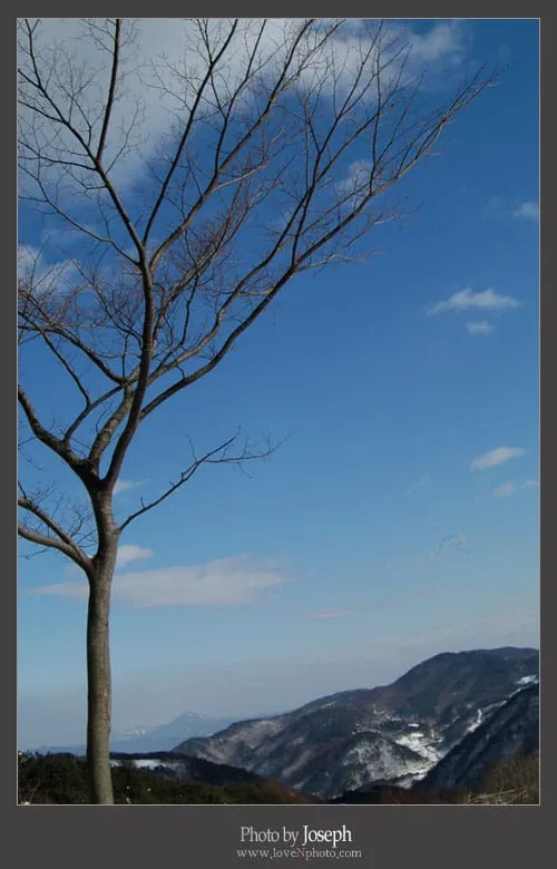 나의 겨울