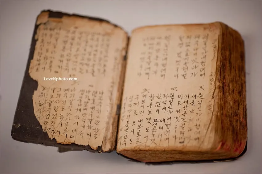 성경 한 권