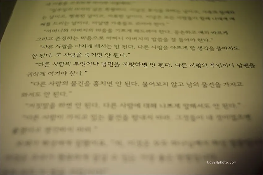 사랑하라고