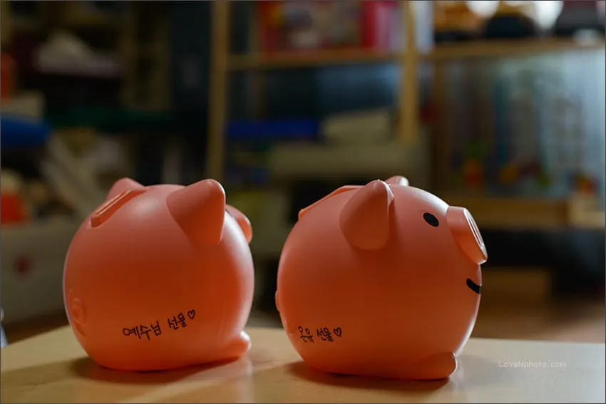 두 마리의 돼지 저금통