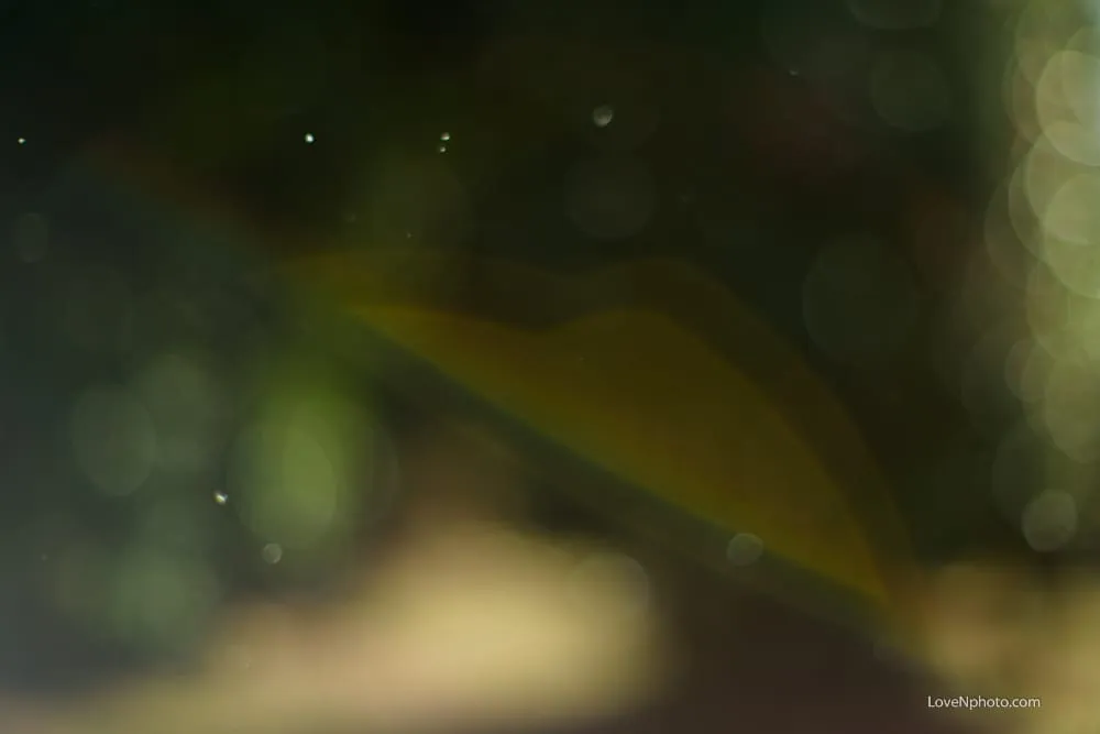 노래하는 풍경 #471